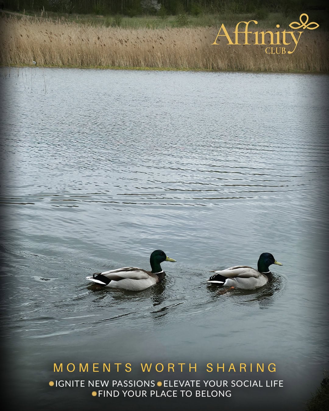 Gedling-Country-Park-Walk-Nottingham-Affinity