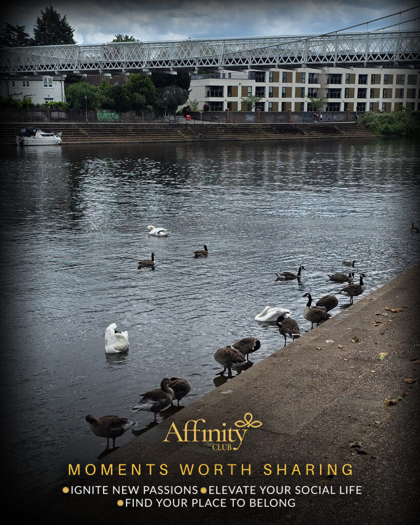 Riverside-Stroll-&-Drinks-at-the-Ferry-Inn